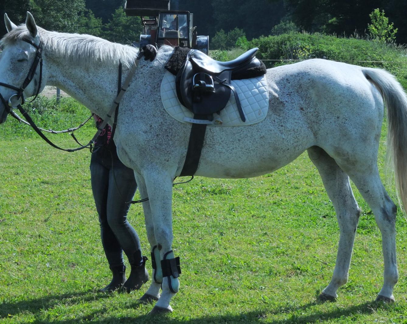 Návštěva u Vincenzů - 16