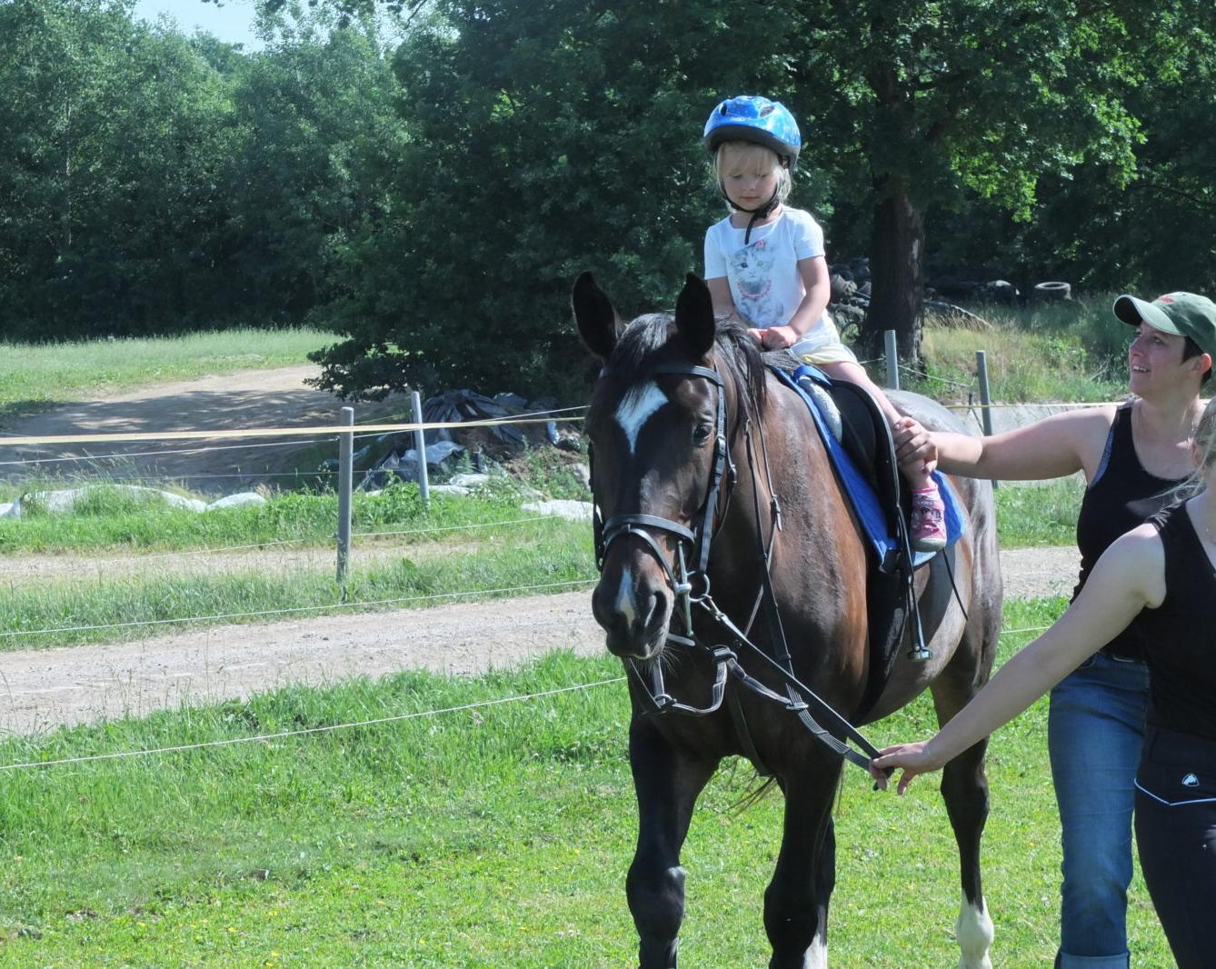 Návštěva u Vincenzů - 31