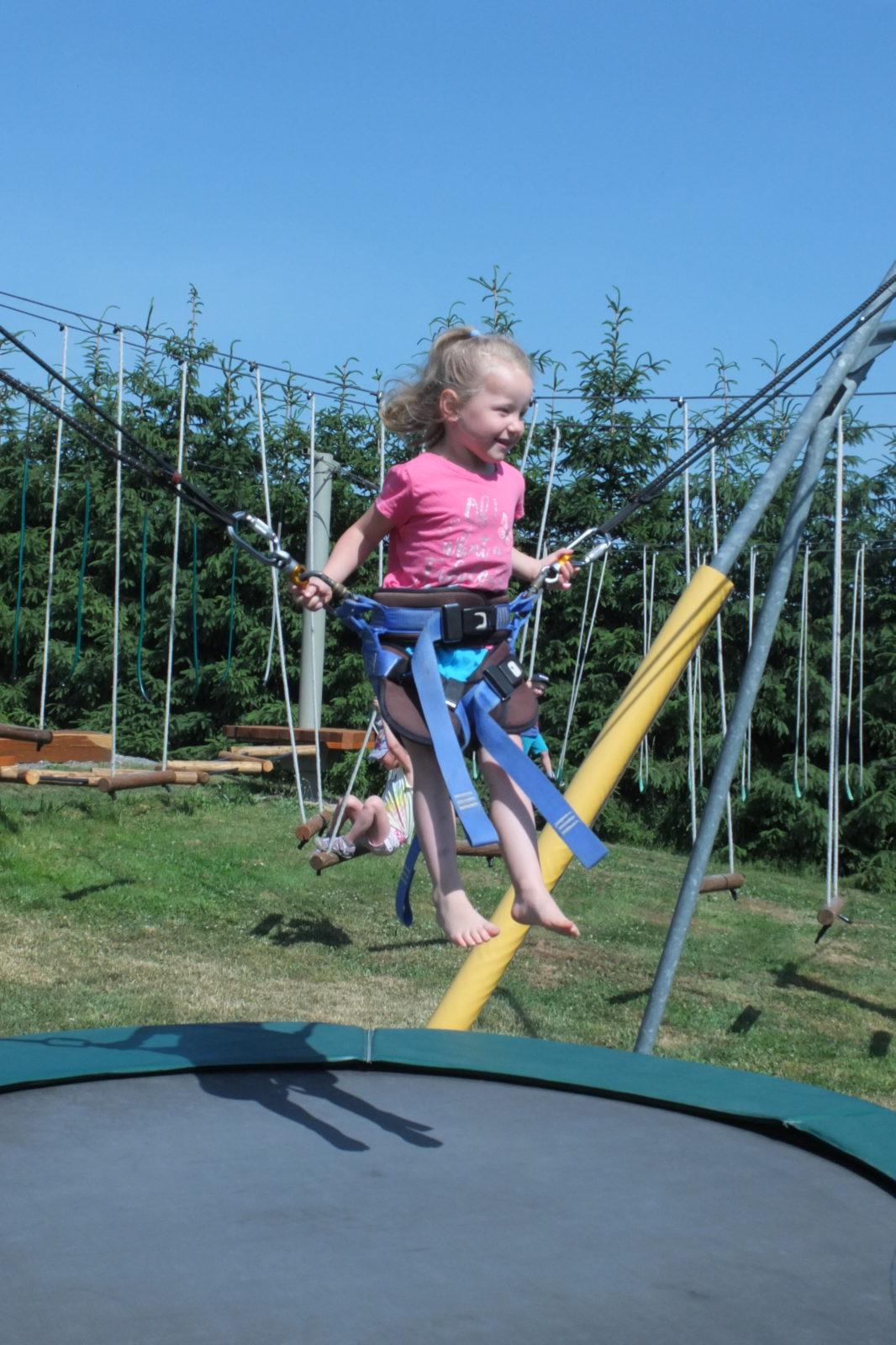 Den dětí v Pinguin parku - 24