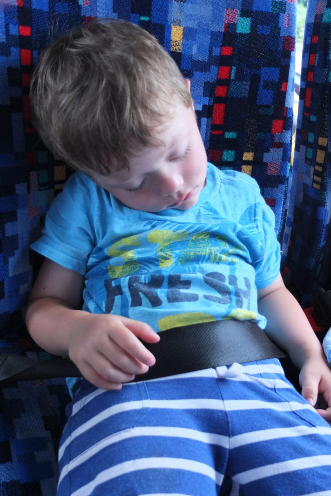 Den dětí v Pinguin parku - 127