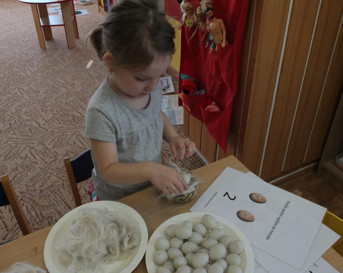 Program p. Adamcové - PTÁCI - 19