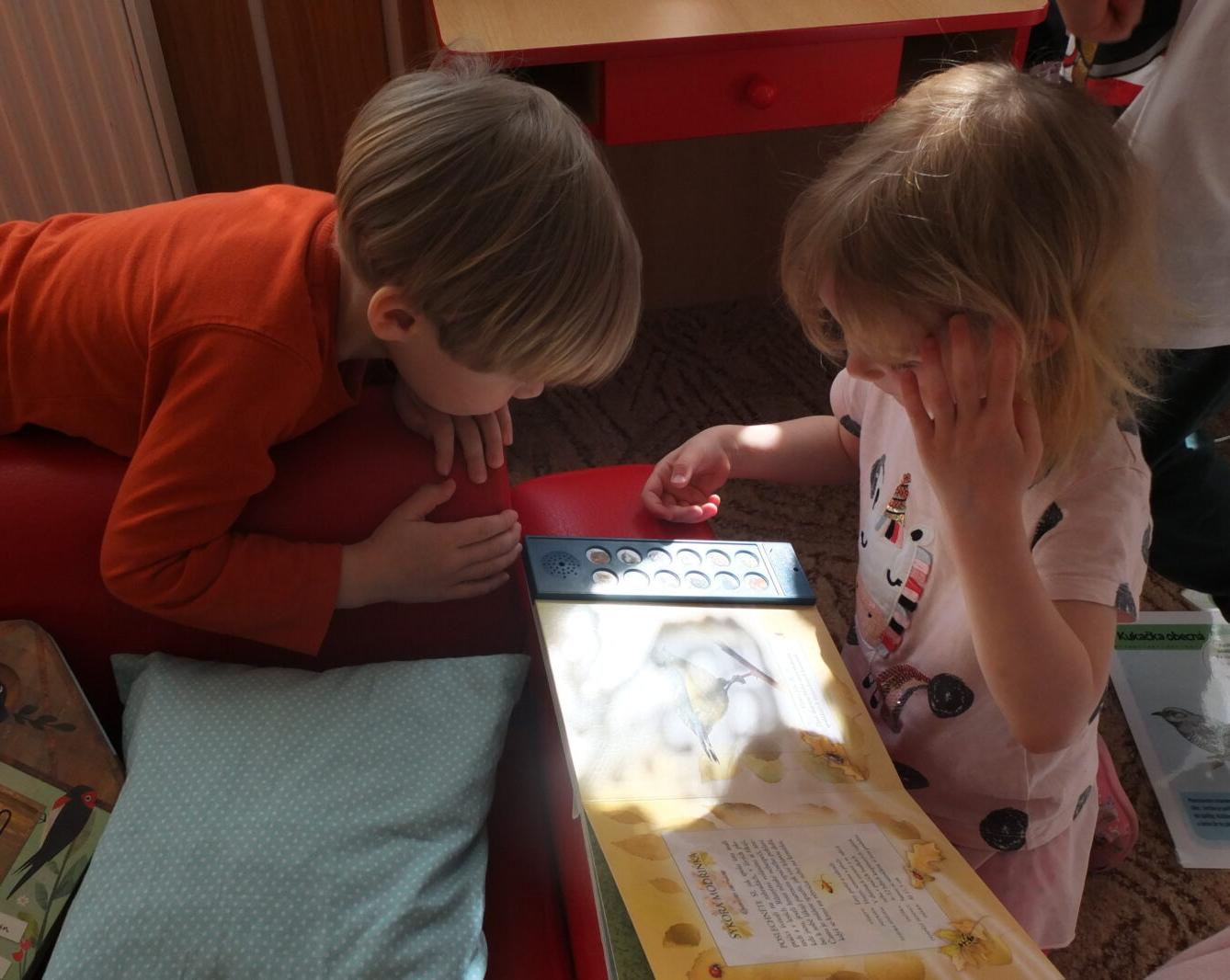 Program p. Adamcové - PTÁCI - 31