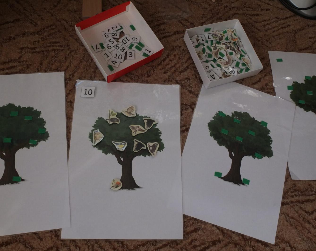 Program p. Adamcové - PTÁCI - 49