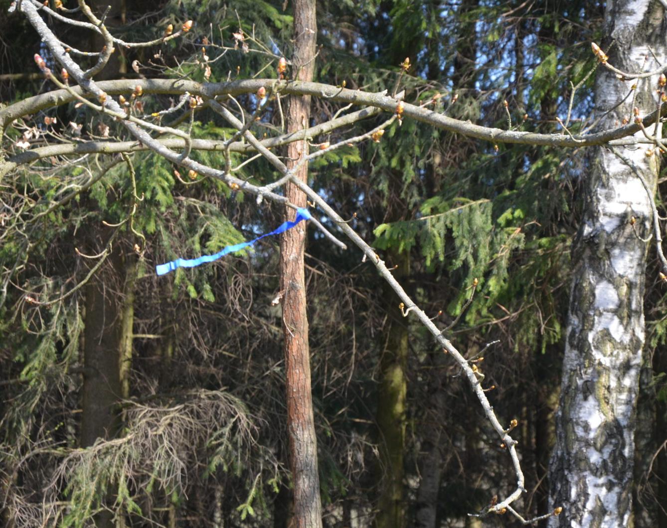 Orientační běh "Fáboráček 2019" - 2