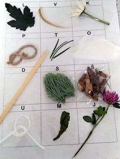 Příroda u třeťáčků 30. 5. - 7