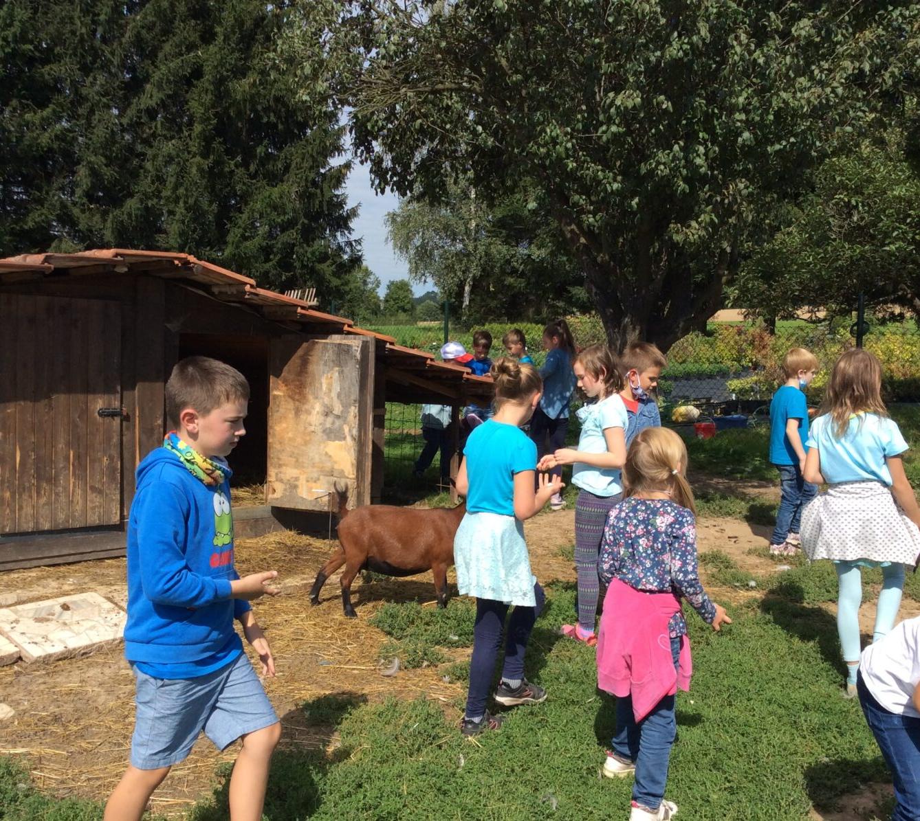 Družinka v zahradnictví - 15