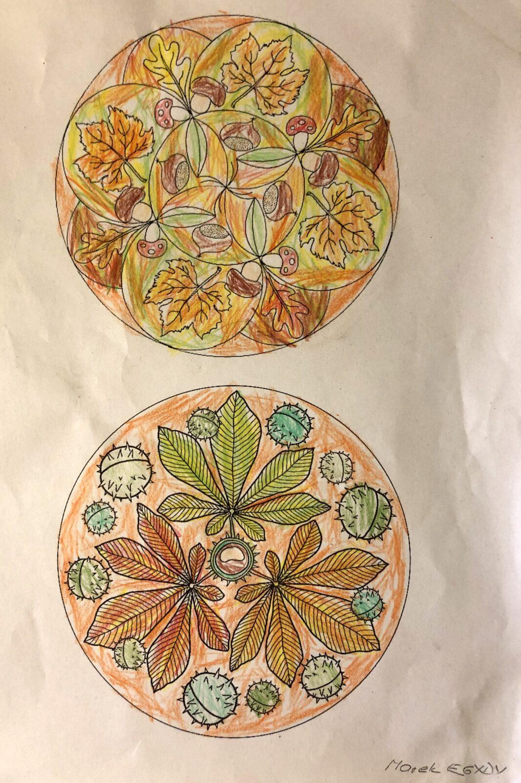 7. 11. distanční výuka v 1. třídě - 17