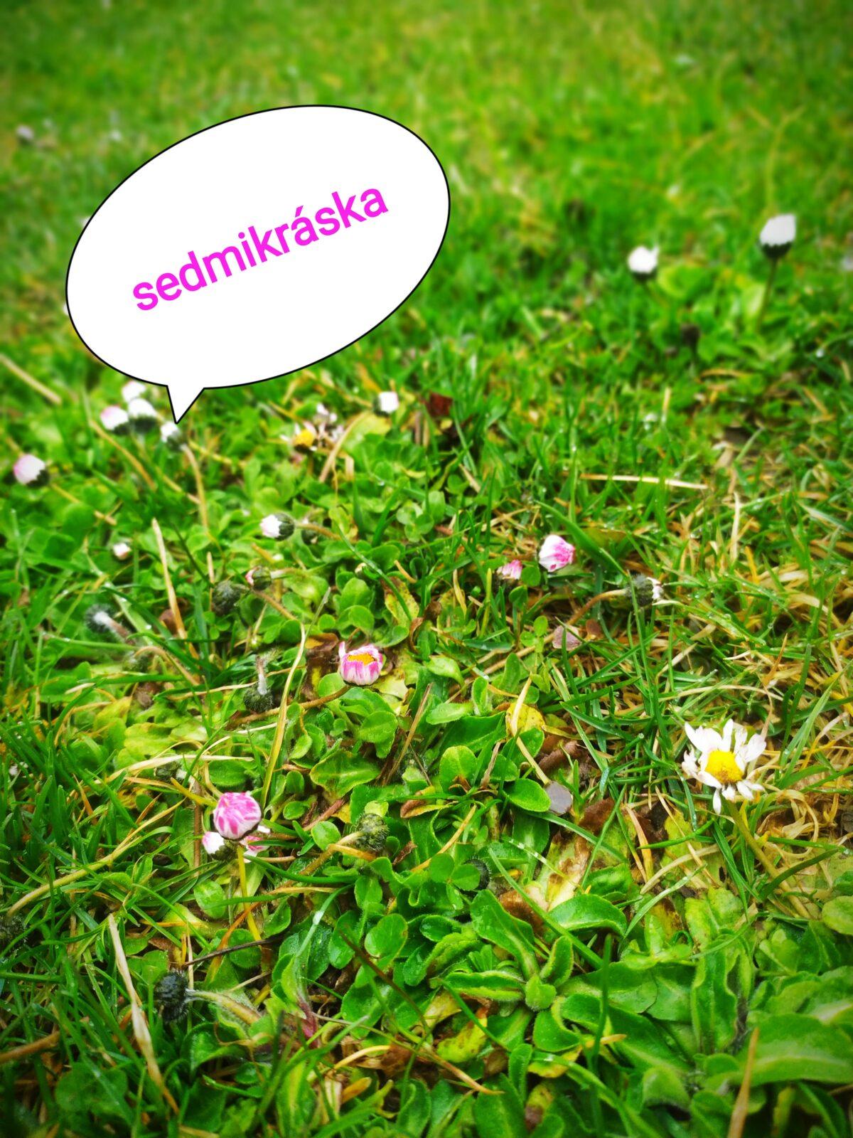 Distanční výuka ve třetí třídě 16. 4. - 8