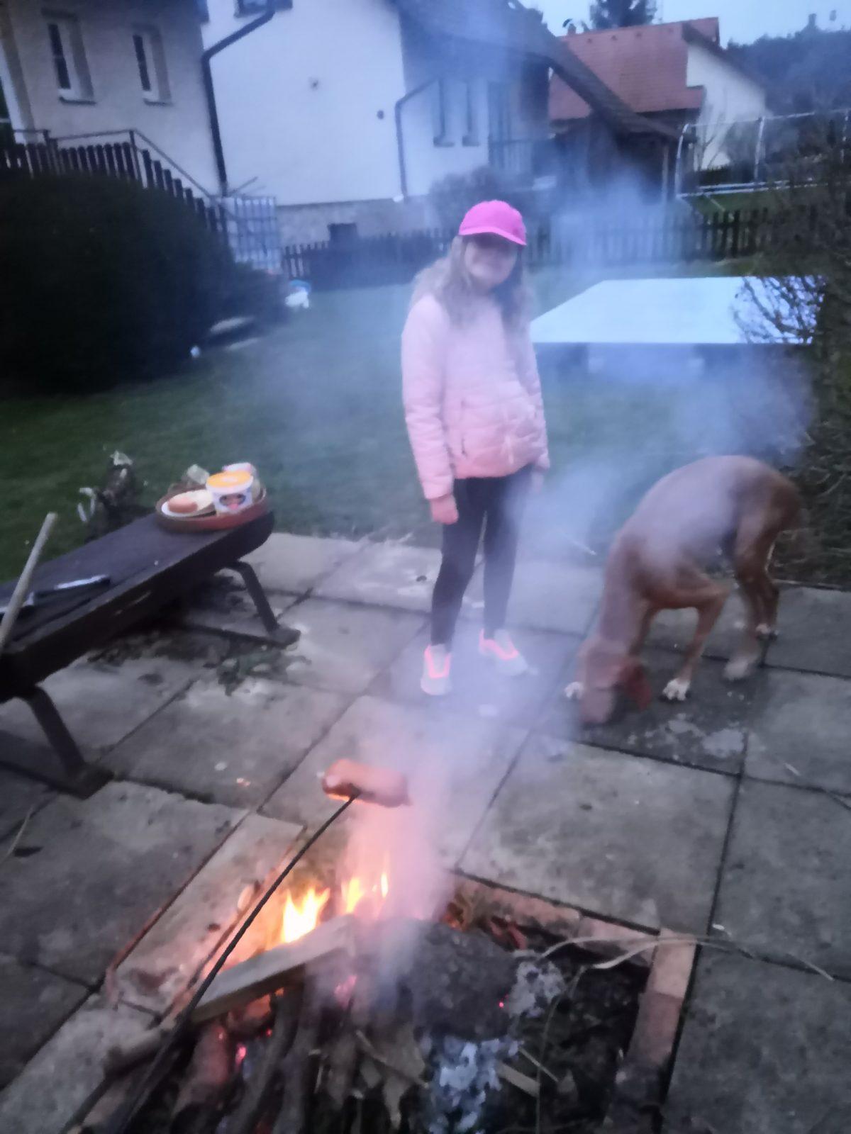 Aktivity druháčků v rámci domácího učení - pokračování - 2