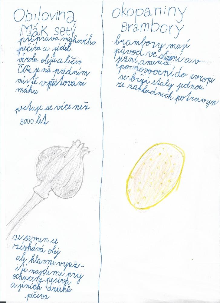 Distanční výuka ve třetí třídě 23. 10. - 9