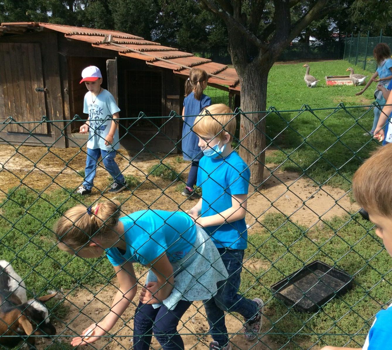 Družinka v zahradnictví - 18