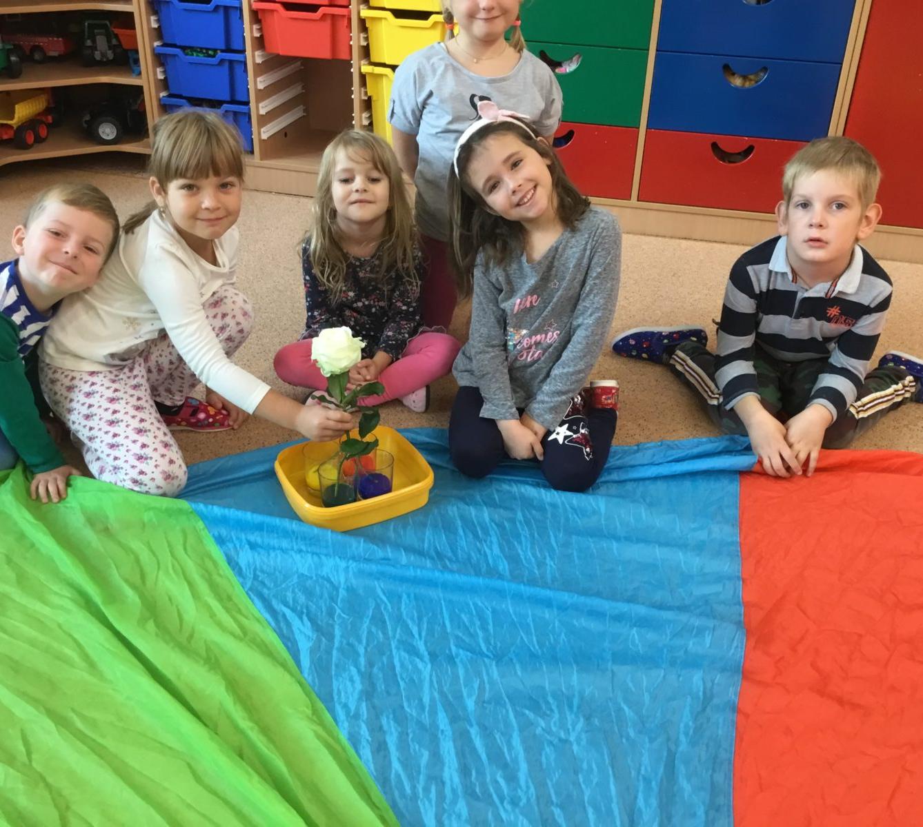 Klokánci: Barevný svět kolem nás - 29