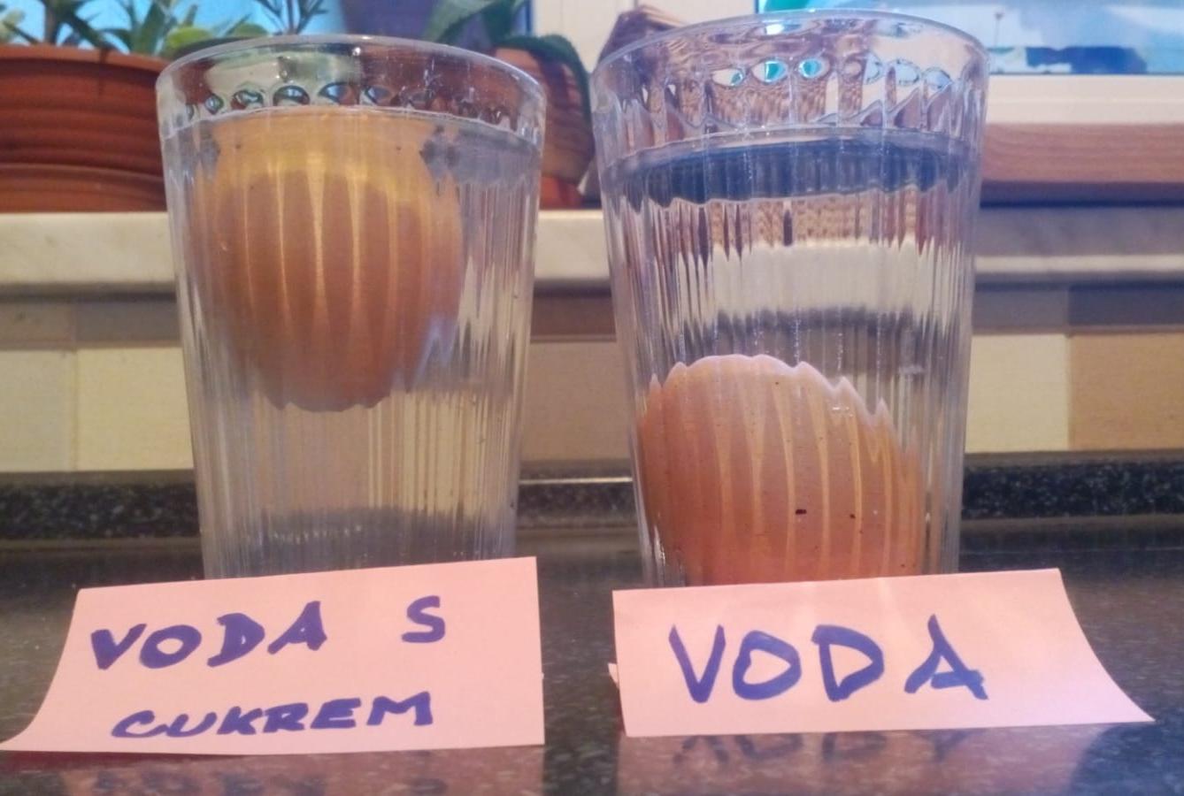 Projektový den svatý Martin a týden pokusů v 5.A - 7