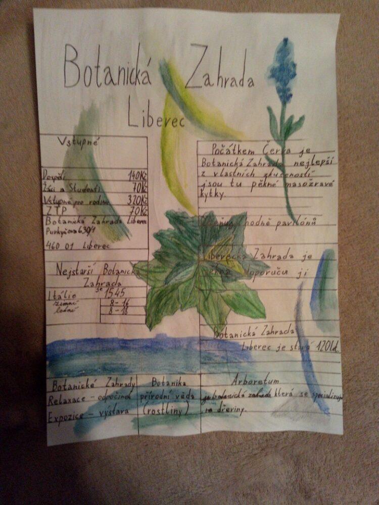 Distanční výuka v 5.B - 4