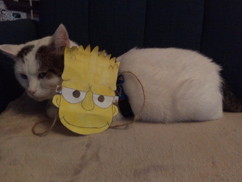 Distanční výuka v 5.B - 5