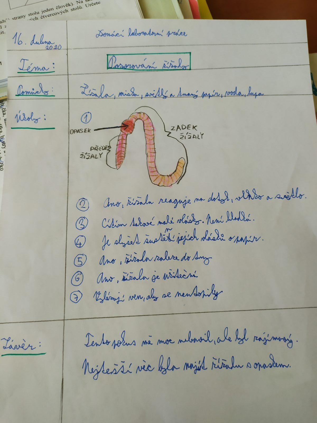Jak zkoumali šesťáci žížaly - 5