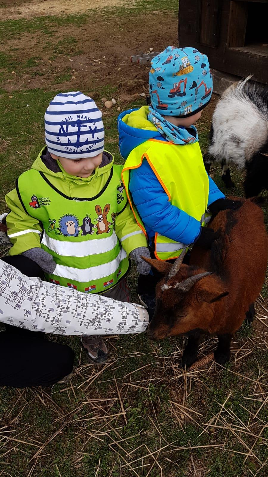 Máme rádi zvířata II.: kozičky - 4