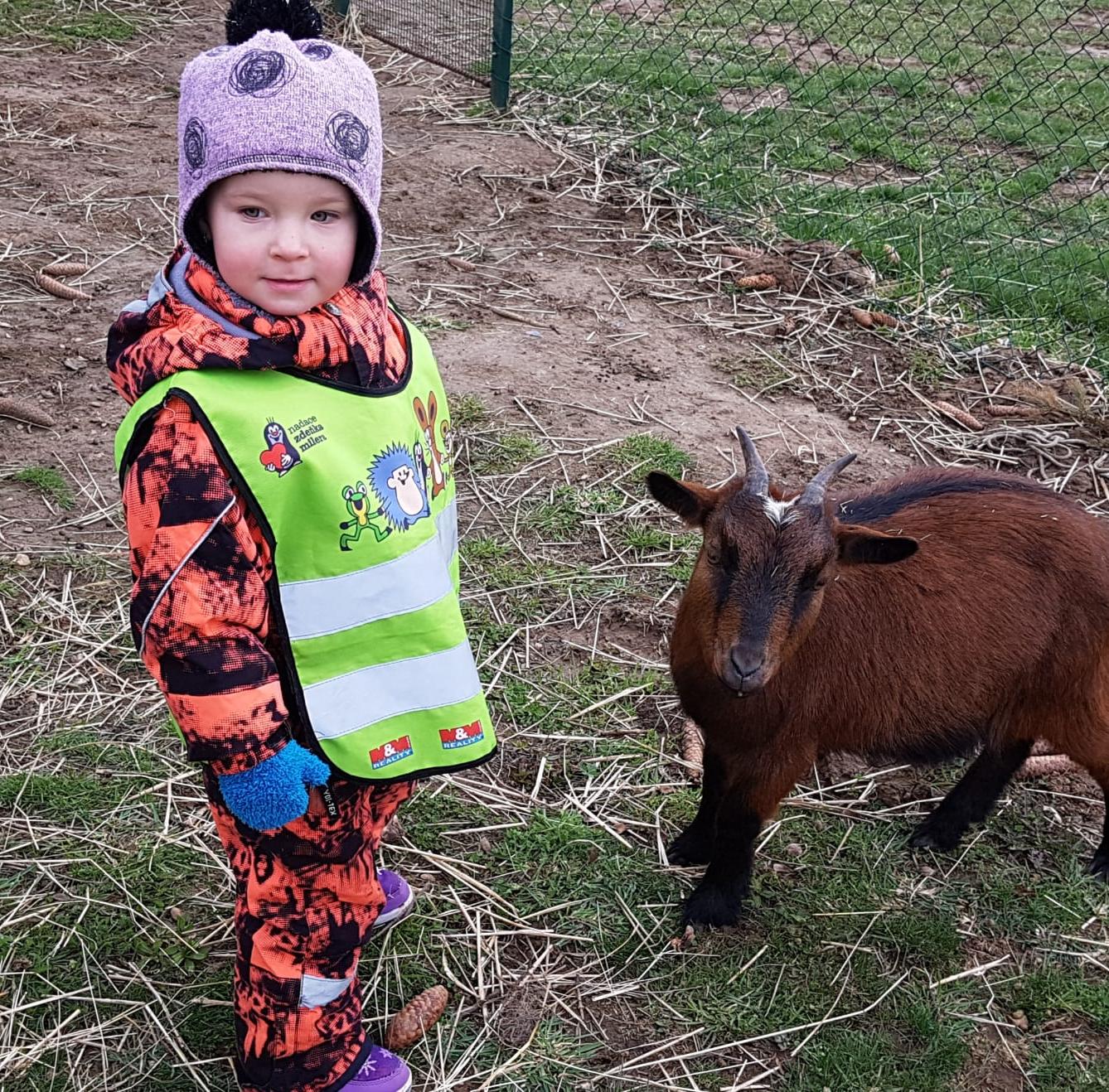 Máme rádi zvířata II.: kozičky - 5