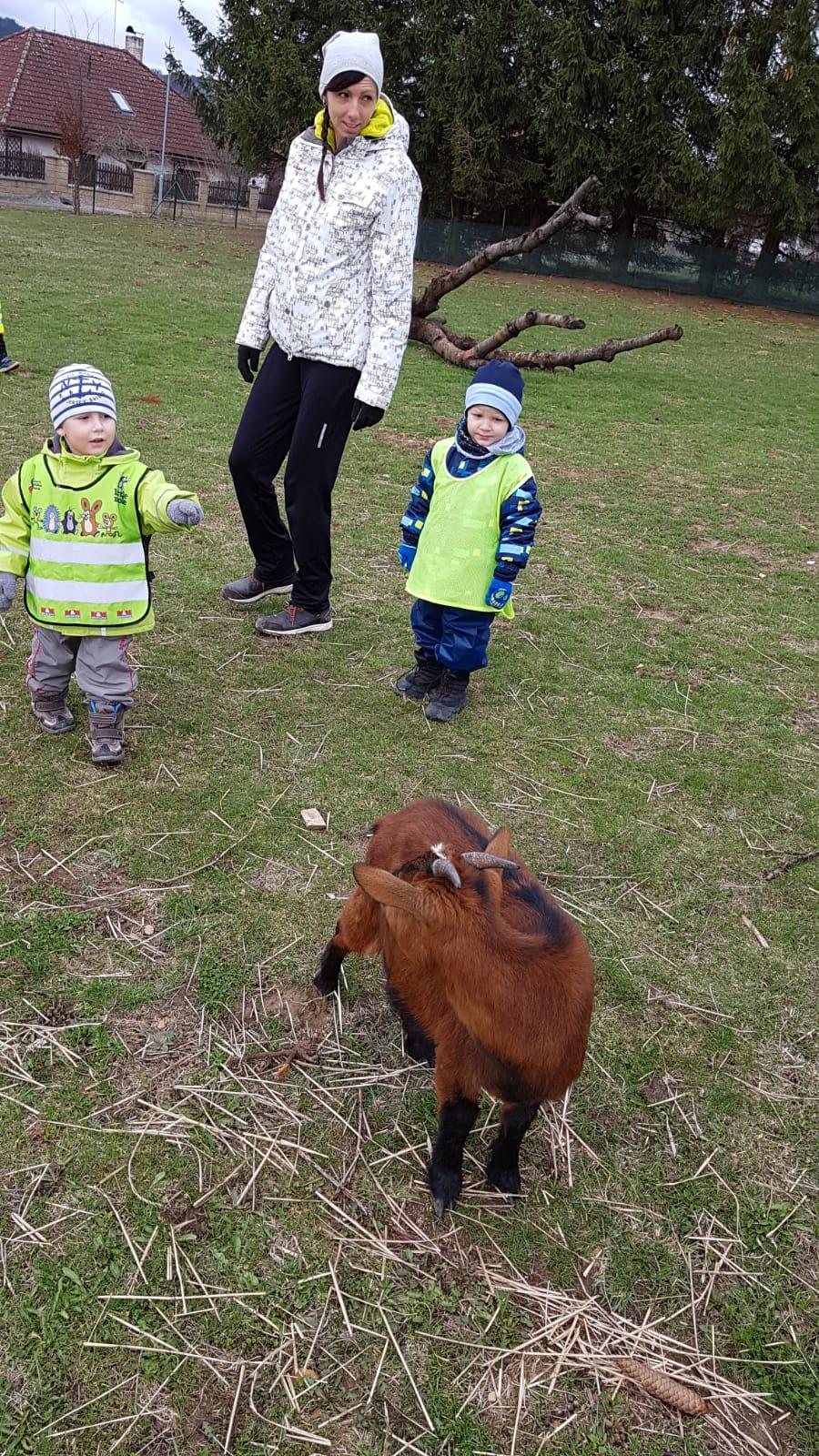 Máme rádi zvířata II.: kozičky - 7