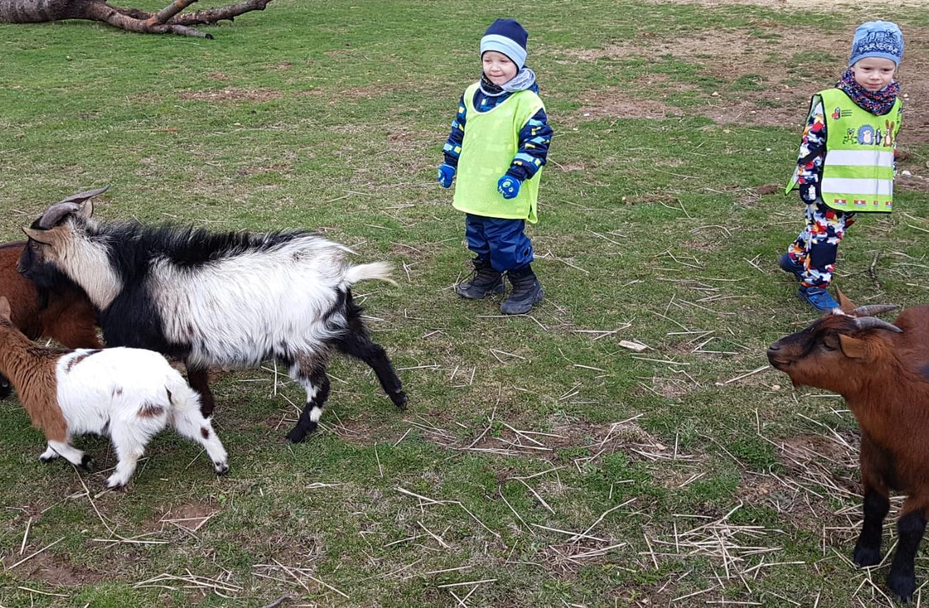 Máme rádi zvířata II.: kozičky - 8