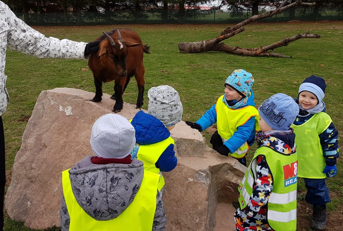 Máme rádi zvířata II.: kozičky - 9