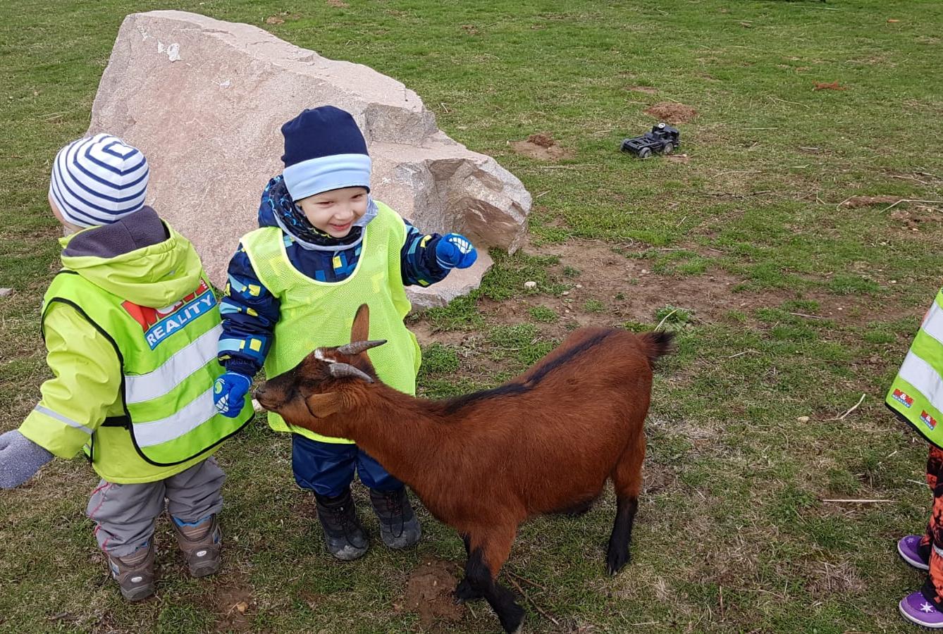 Máme rádi zvířata II.: kozičky - 10