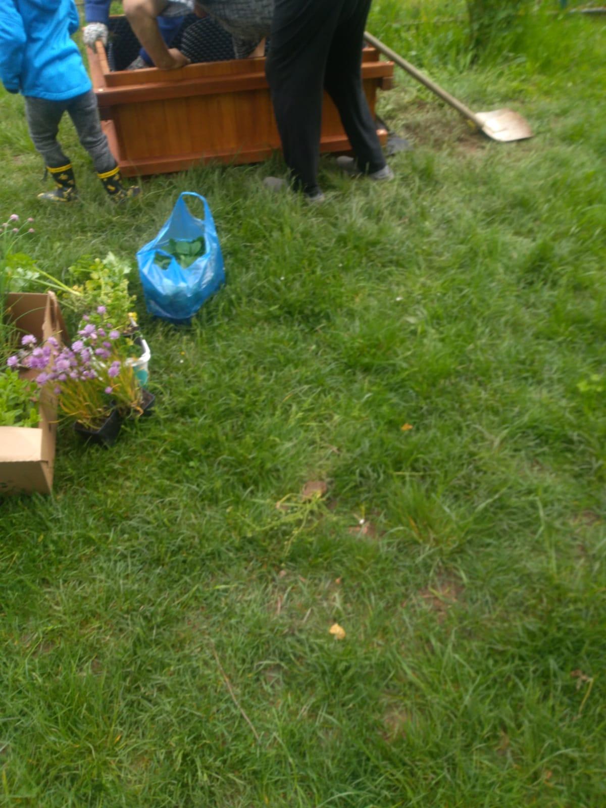 workshop zahrada:-) - 9