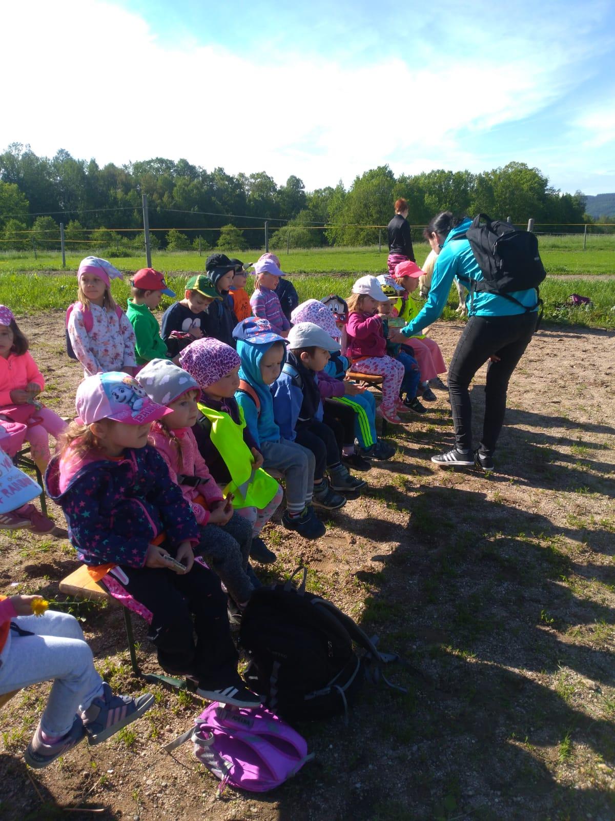 Máme rádi zvířata: Koníci - 1