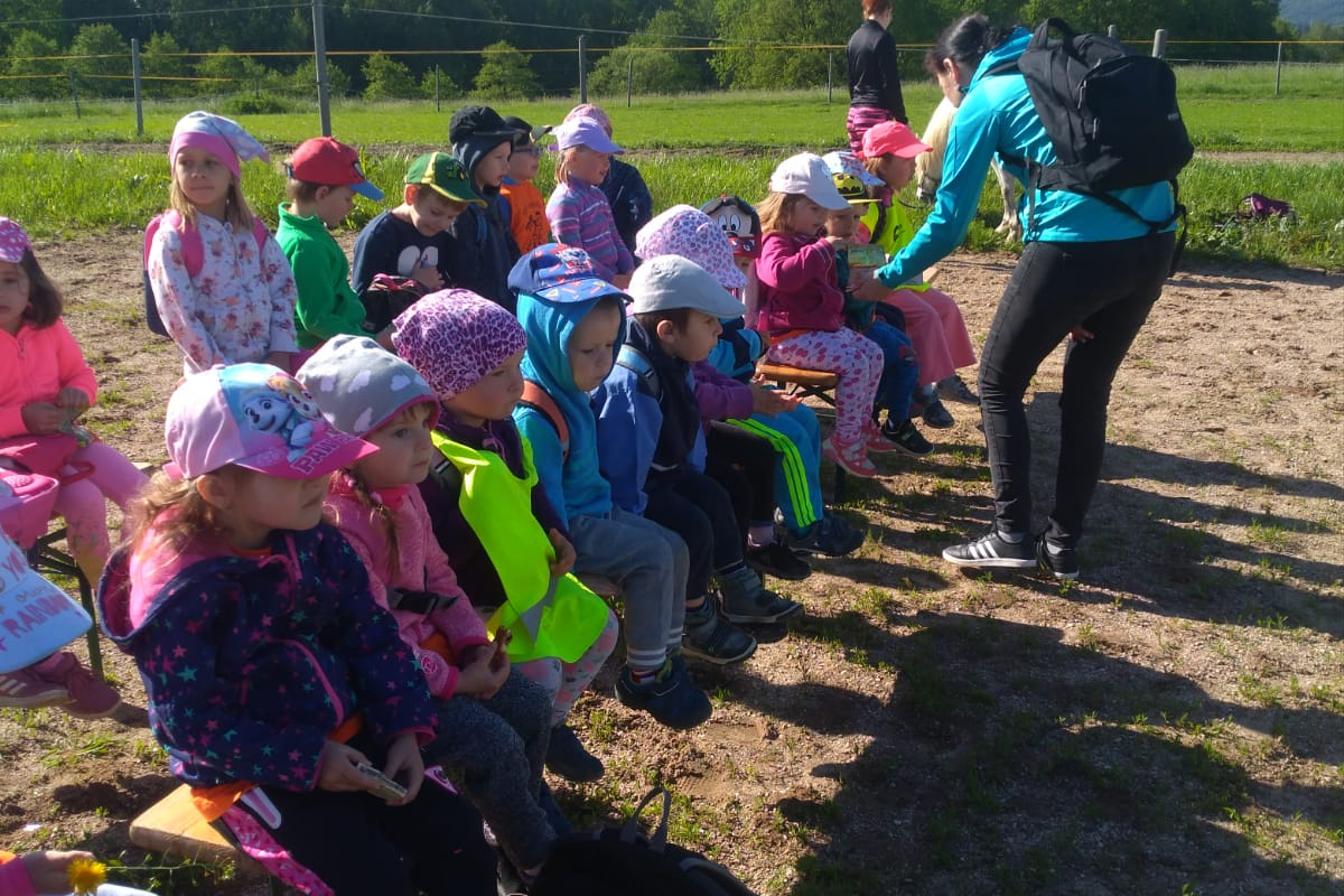 Máme rádi zvířata: Koníci