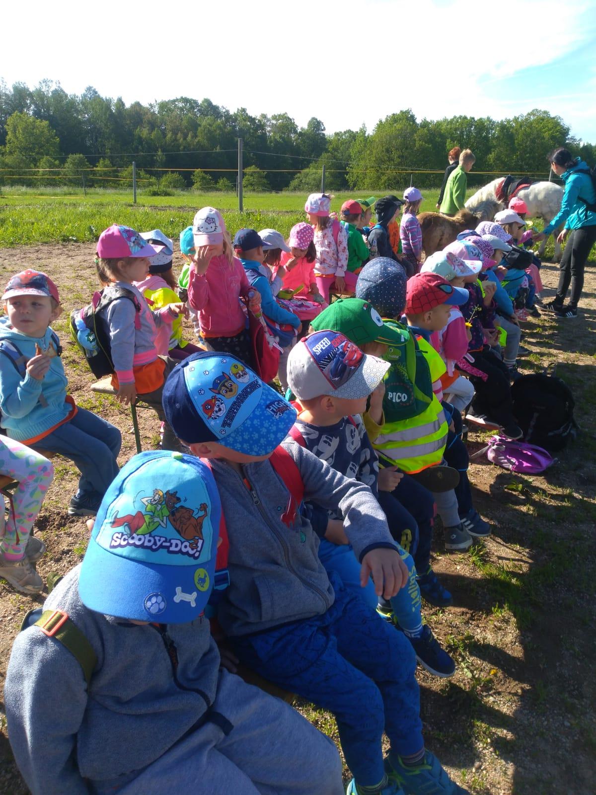 Máme rádi zvířata: Koníci - 2