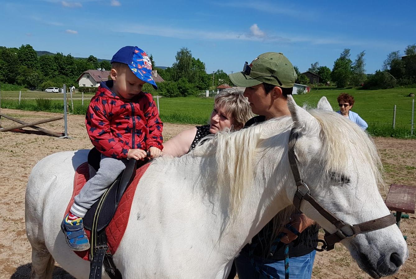 Máme rádi zvířata: Koníci - 4