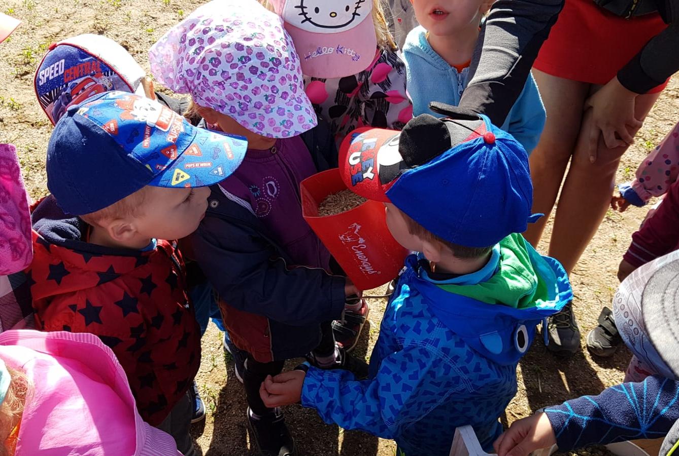 Máme rádi zvířata: Koníci - 5