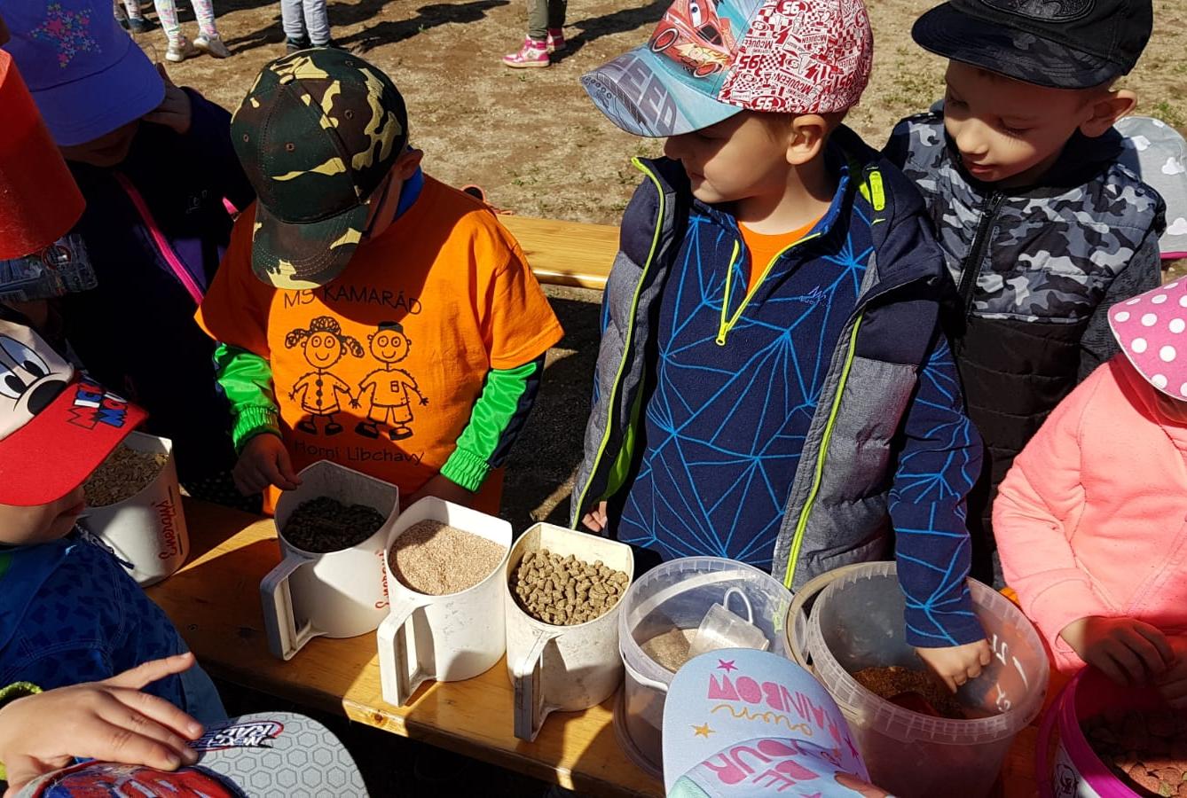 Máme rádi zvířata: Koníci - 6