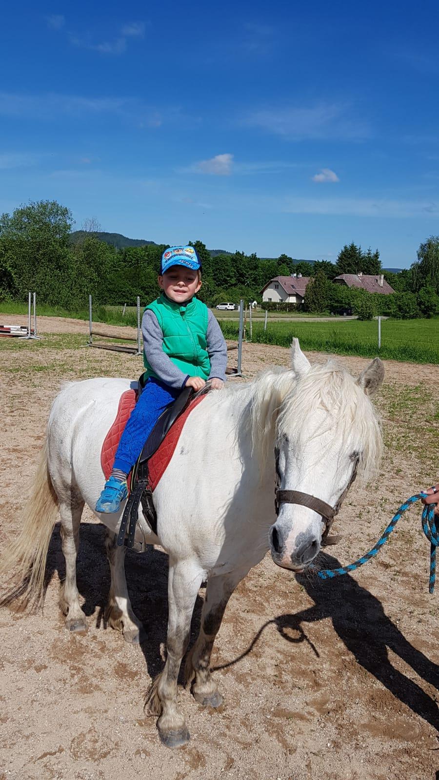 Máme rádi zvířata: Koníci - 7