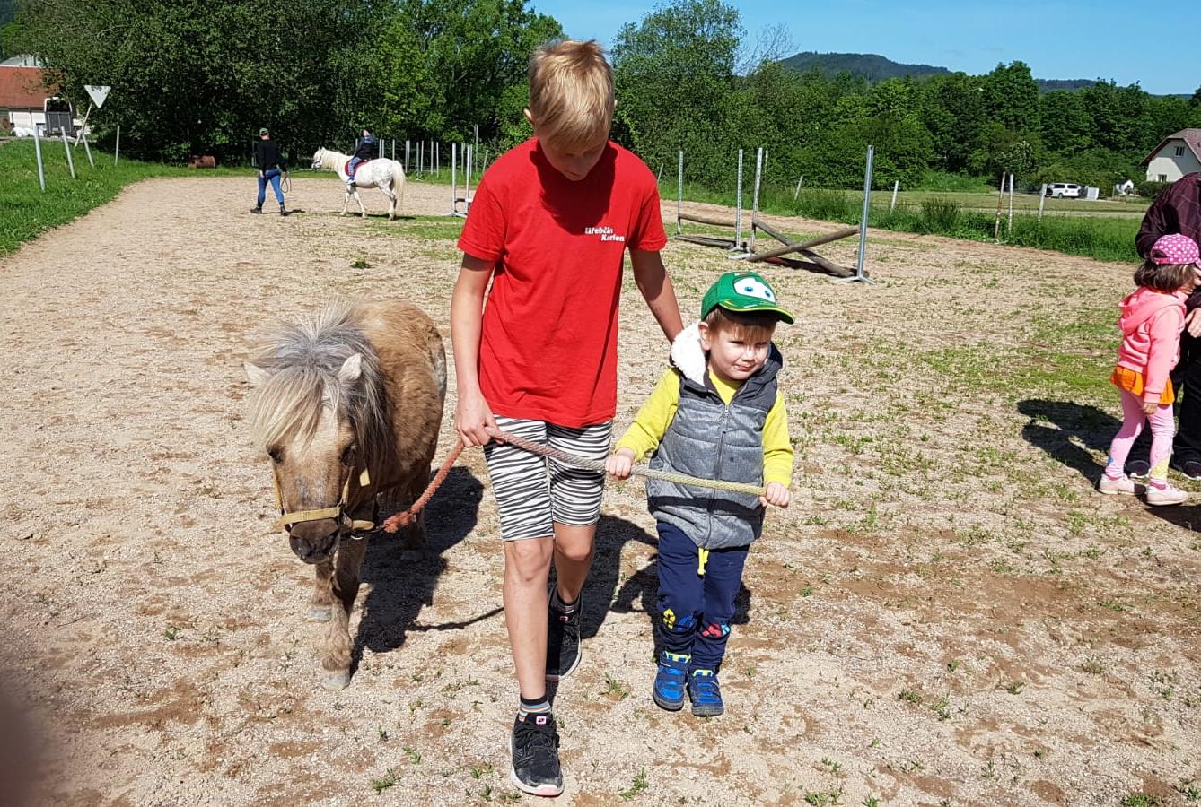 Máme rádi zvířata: Koníci - 17