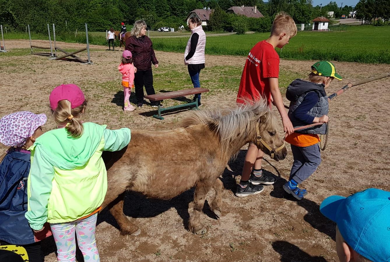 Máme rádi zvířata: Koníci - 18