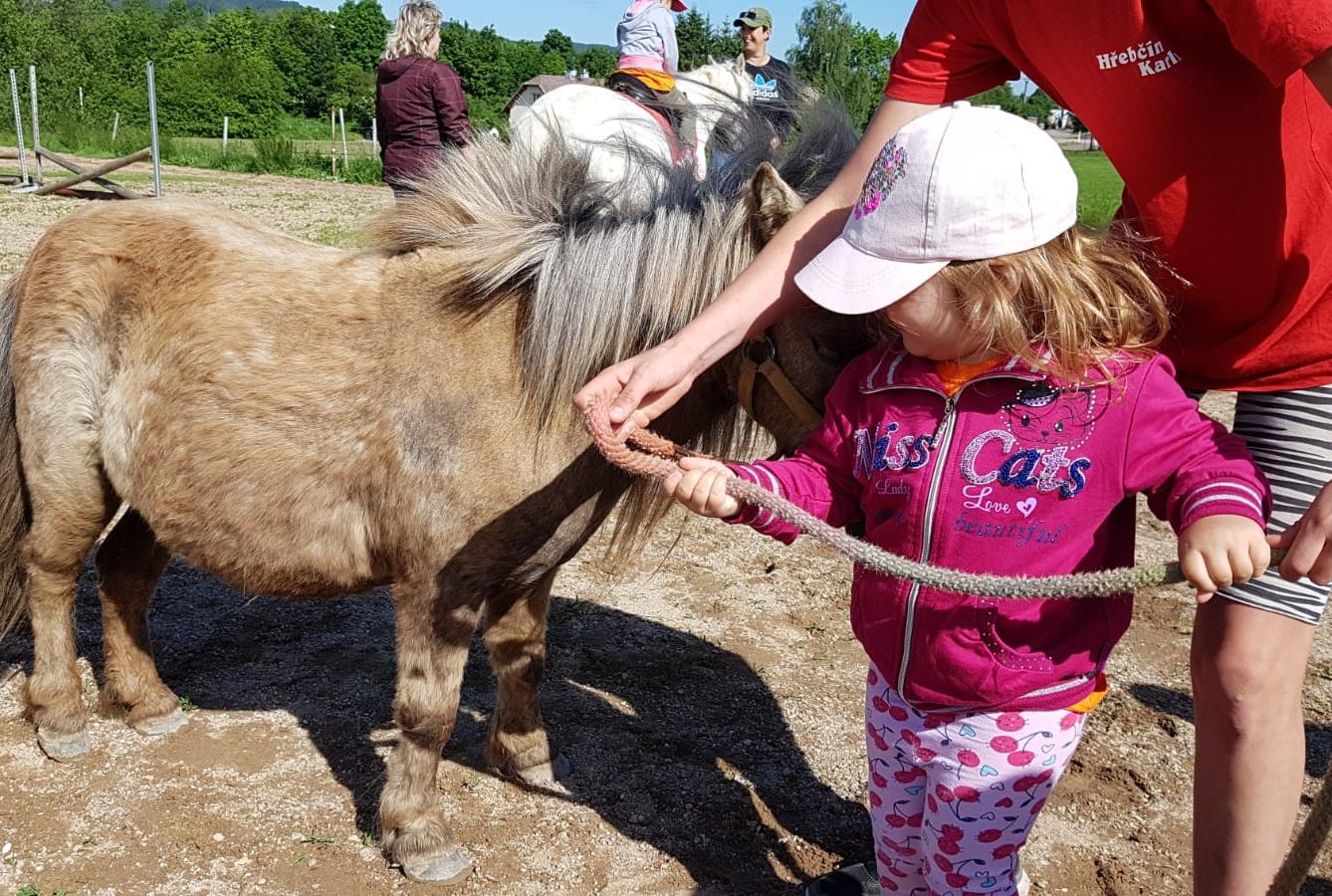 Máme rádi zvířata: Koníci - 20