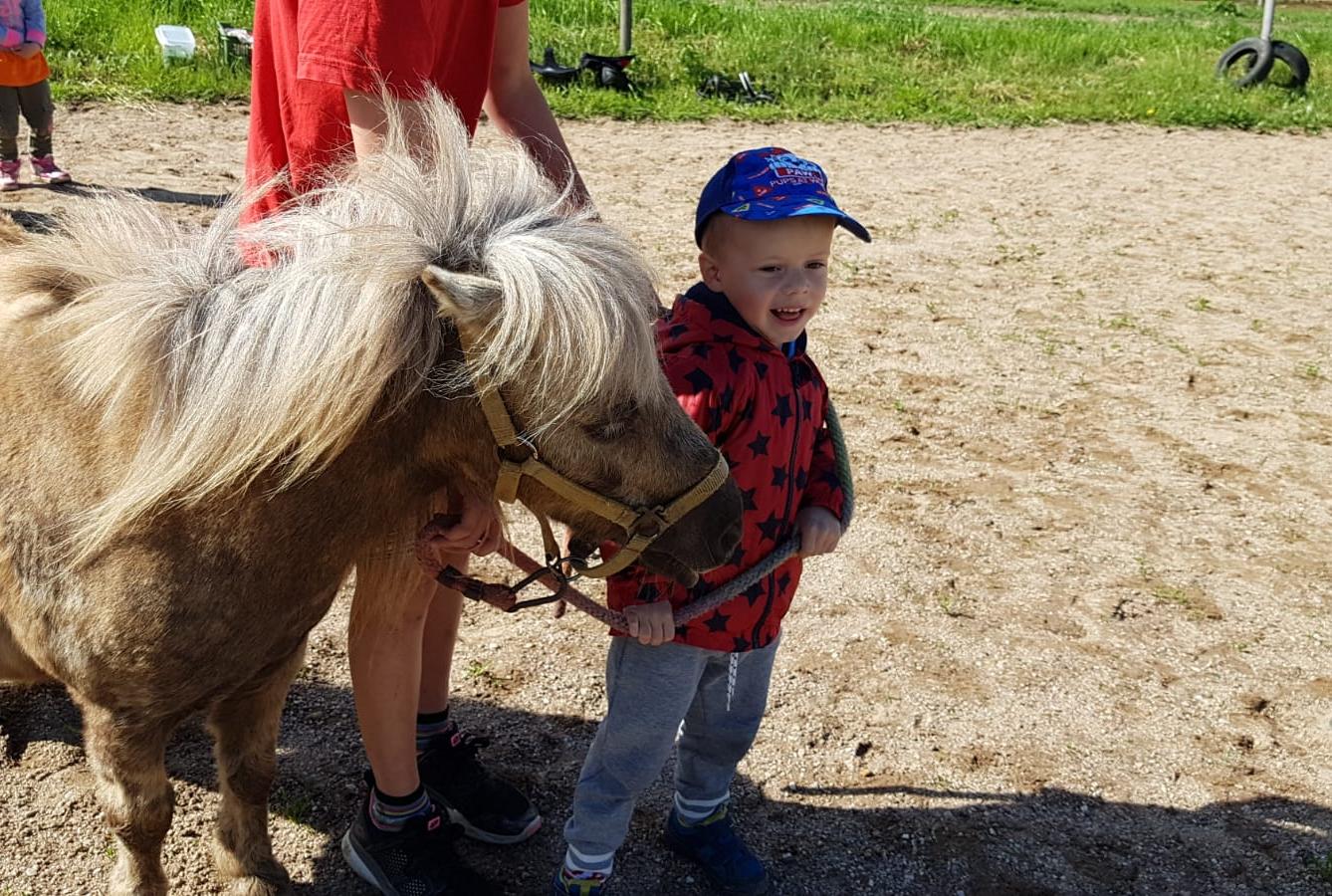 Máme rádi zvířata: Koníci - 23