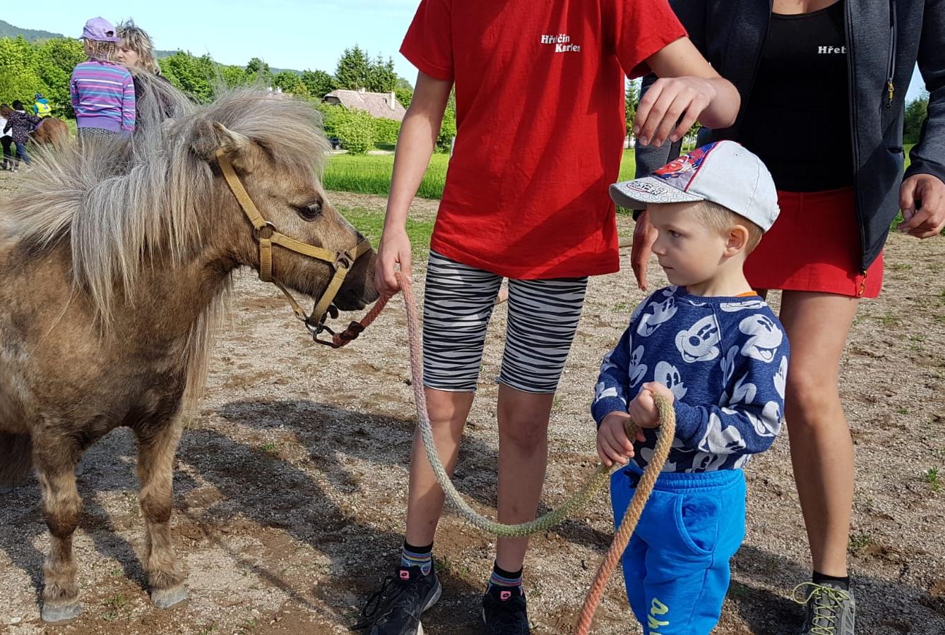 Máme rádi zvířata: Koníci - 24