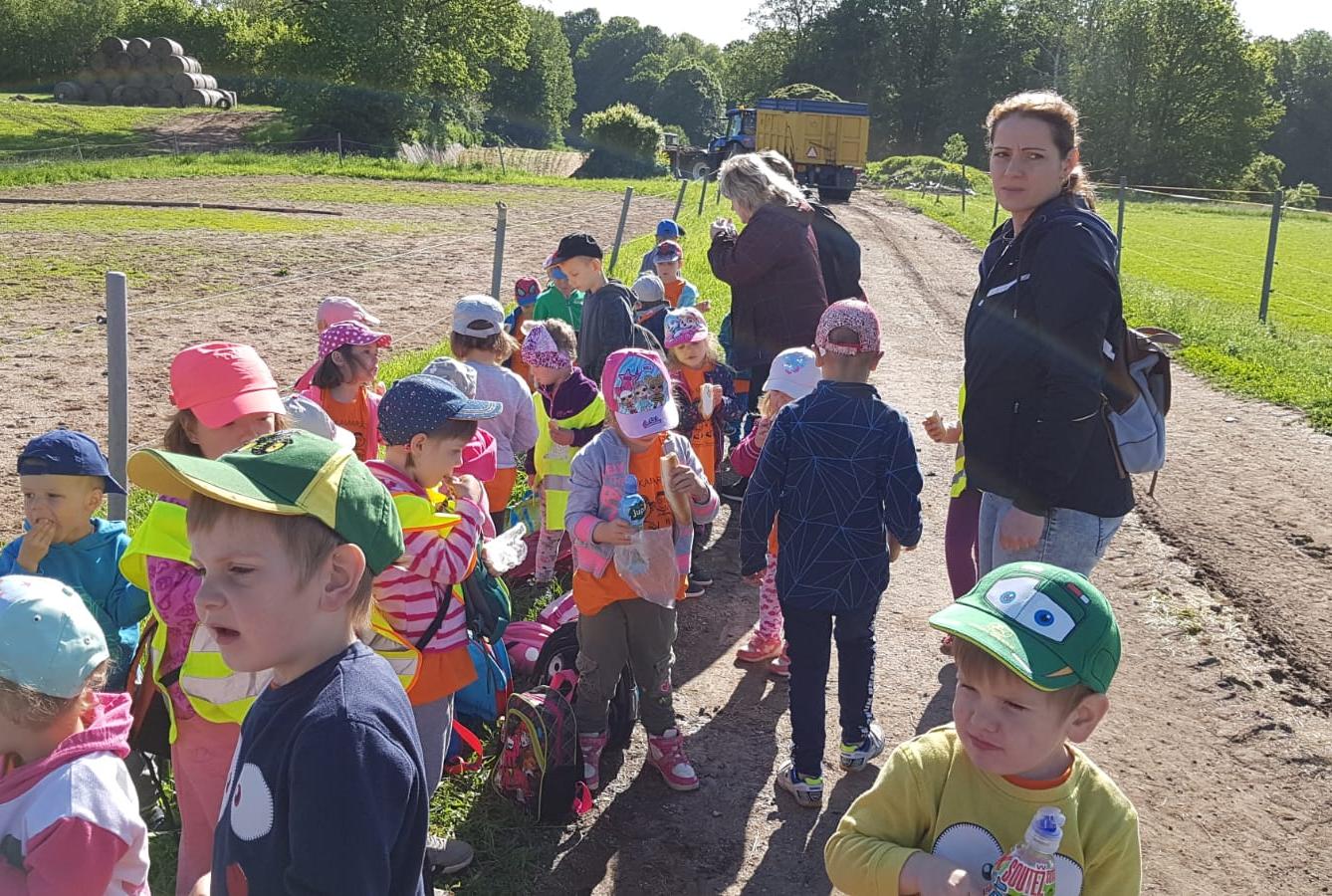 Máme rádi zvířata: Koníci - 27