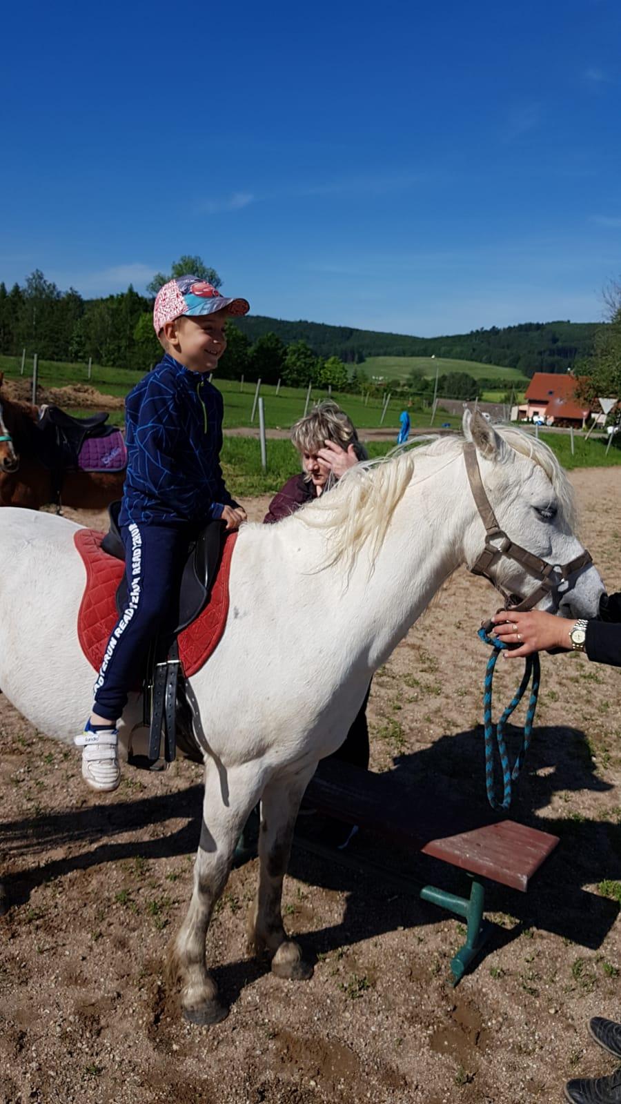 Máme rádi zvířata: Koníci - 31