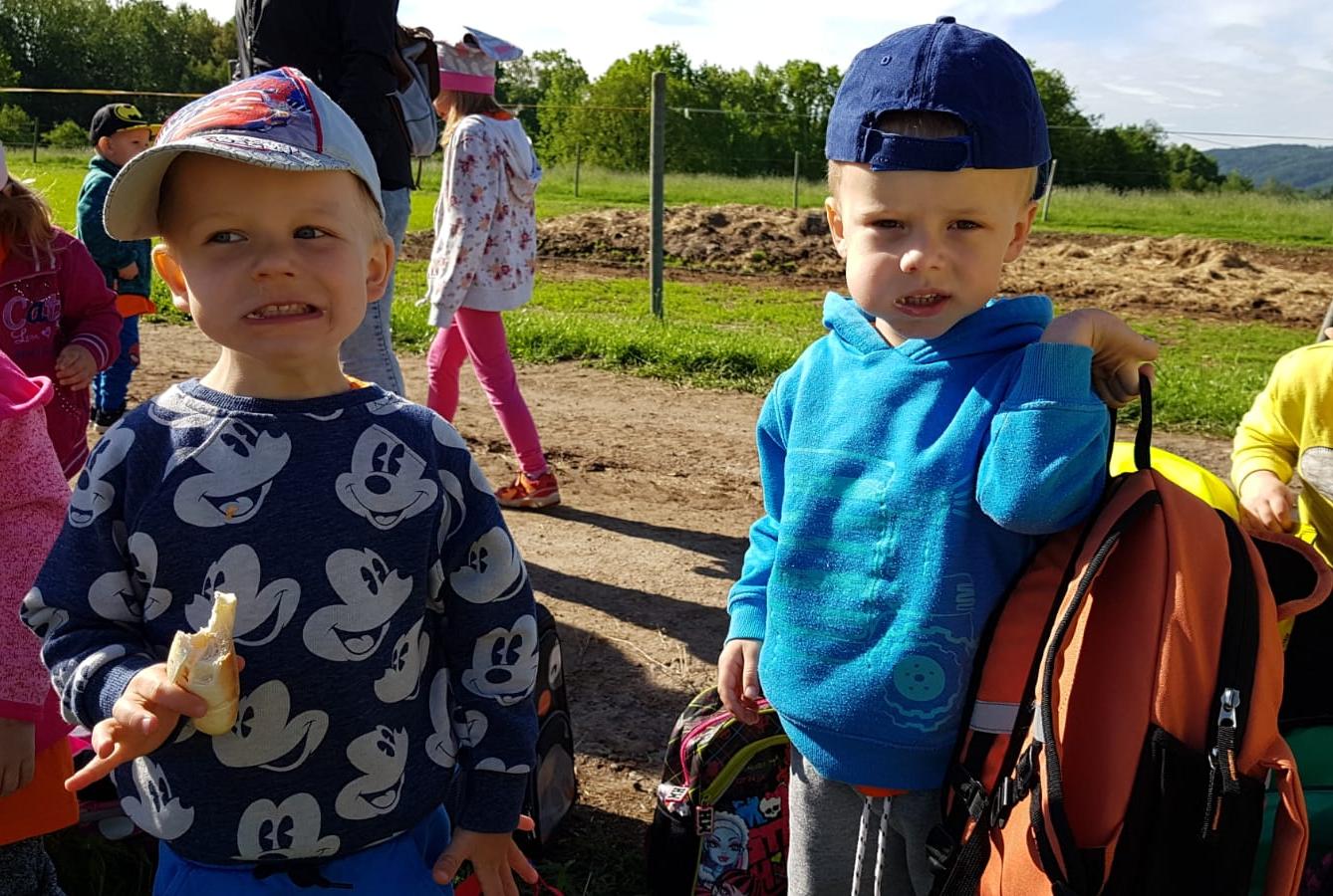 Máme rádi zvířata: Koníci - 34