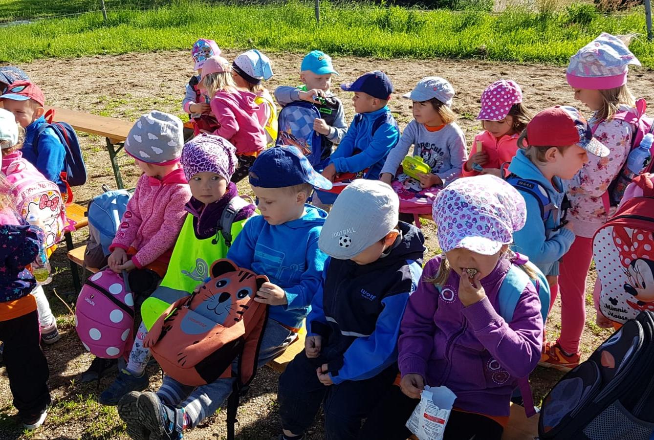 Máme rádi zvířata: Koníci - 35