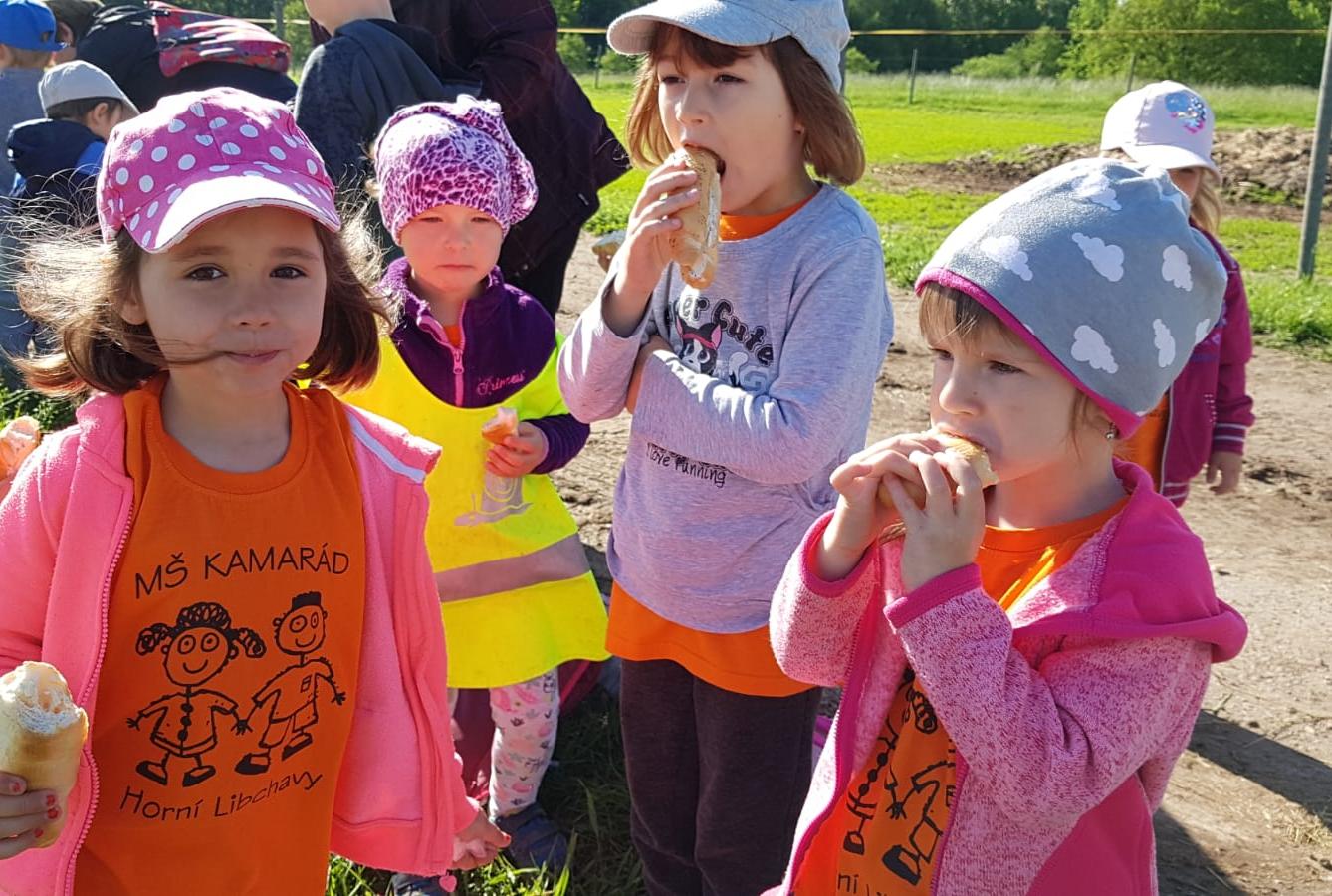 Máme rádi zvířata: Koníci - 36