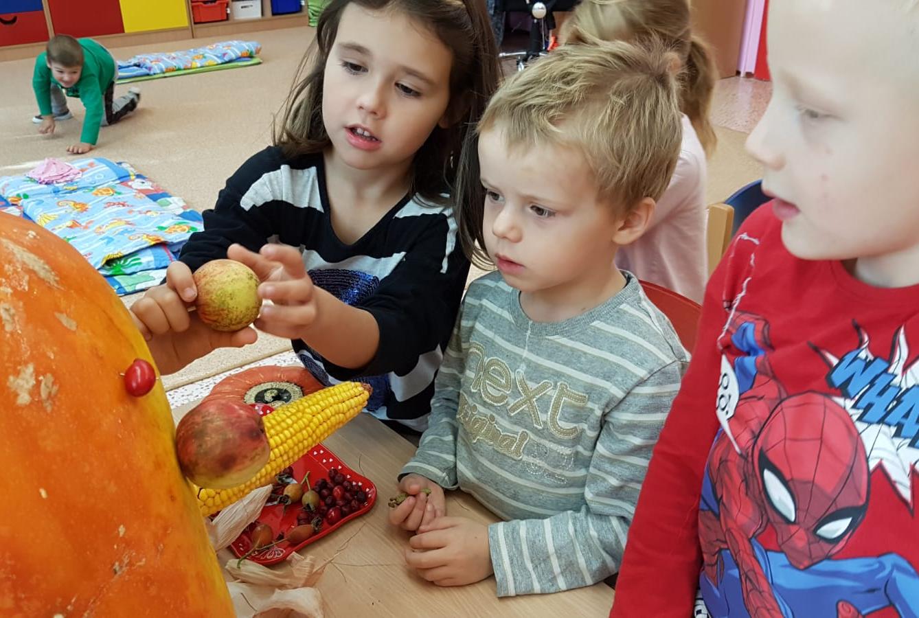 Klokánci: Dýňohrátky - 17