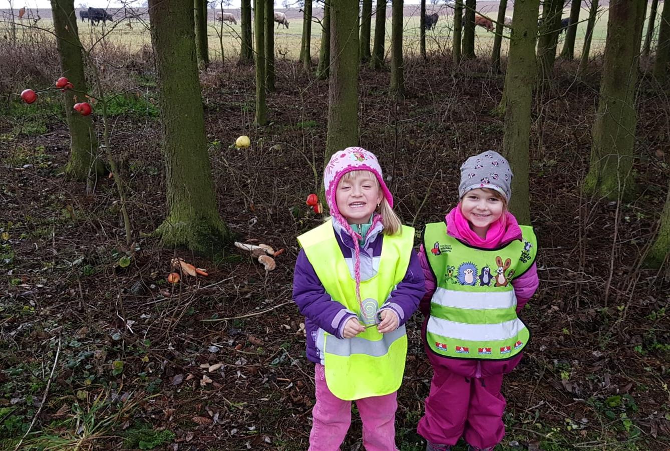 Vánoce pro zvířátka v lese - 2