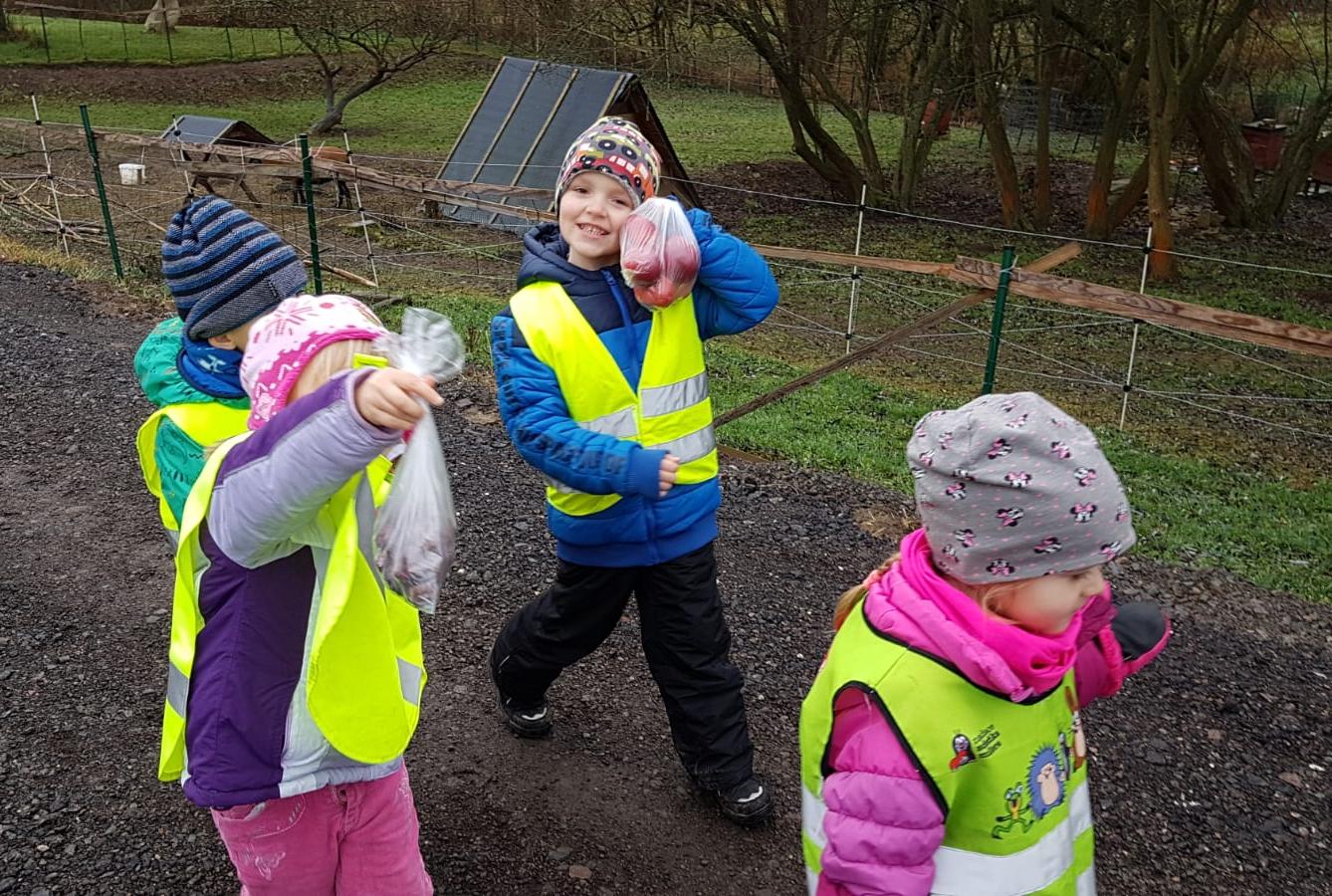 Vánoce pro zvířátka v lese - 3