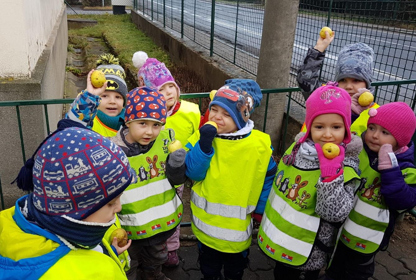 Vánoce pro zvířátka v lese - 11