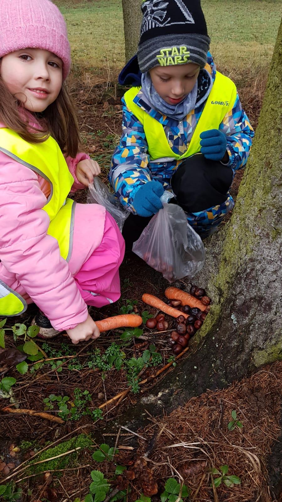 Vánoce pro zvířátka v lese - 13