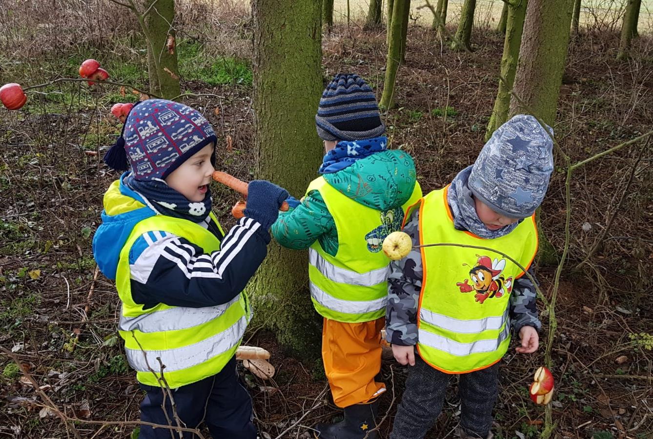 Vánoce pro zvířátka v lese - 16